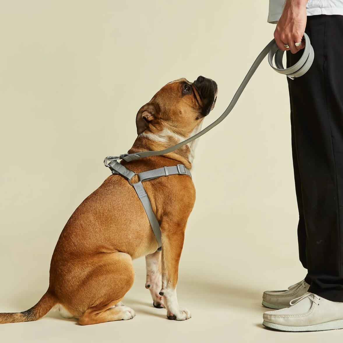 Barc London - Ash Grey Dog Harness