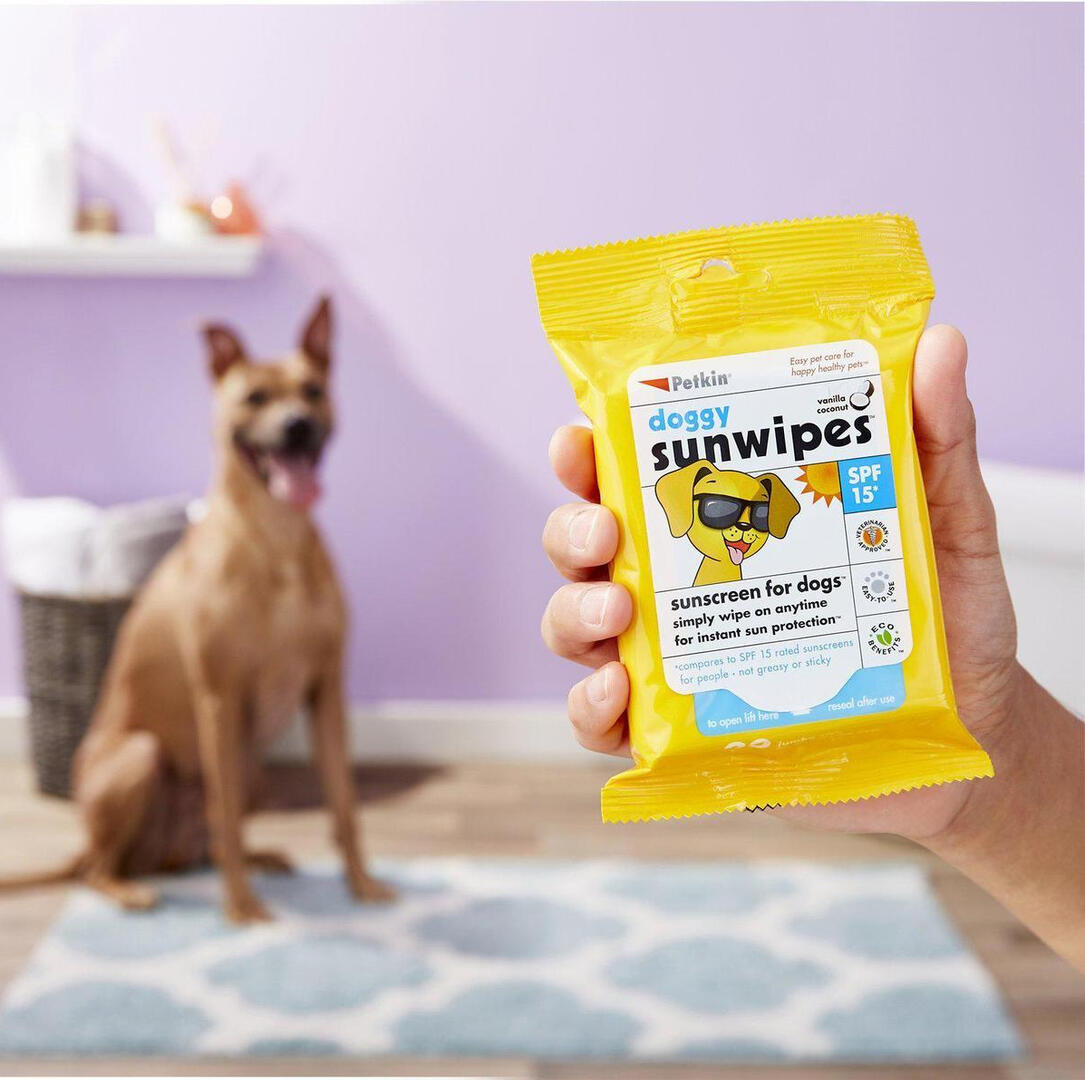 Sunscreen Wipes for Dogs