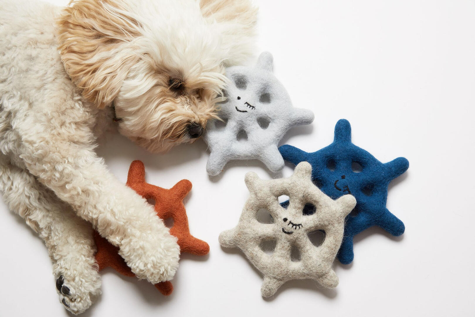 Wool Dog Toy
