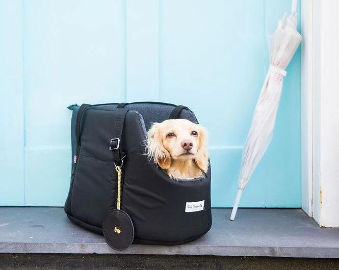Teddy Maximus Dog Carry Bag