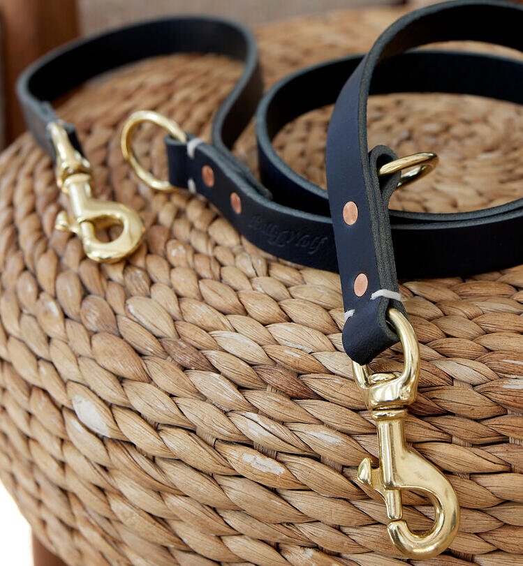 Leather Leash Lead