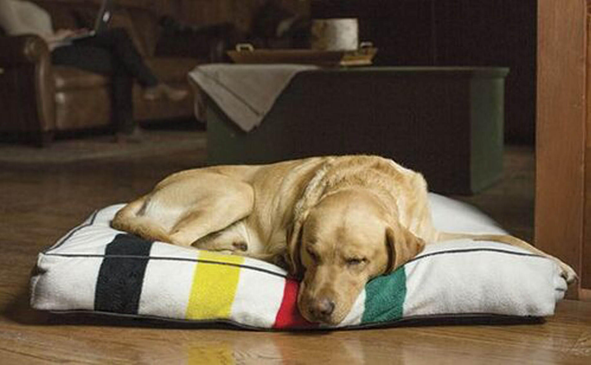 Pendleton Dog Bed