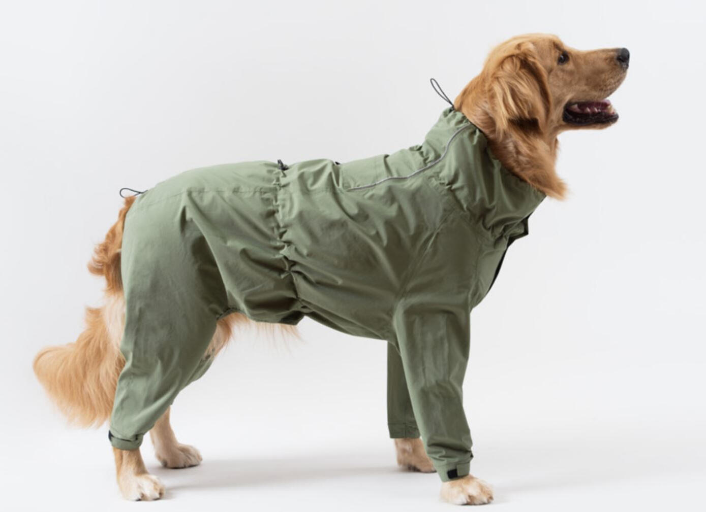Active green dog jacket