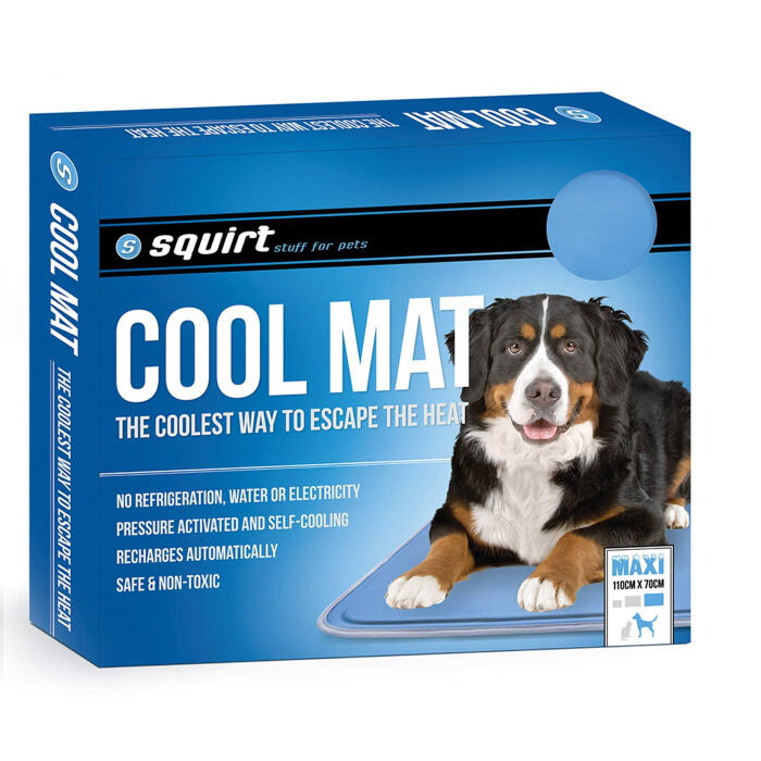 Squirt Cooling Mat