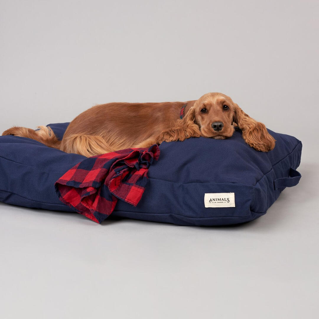 Animals in Charge - Navy Pillow Pocket Dog Bed
