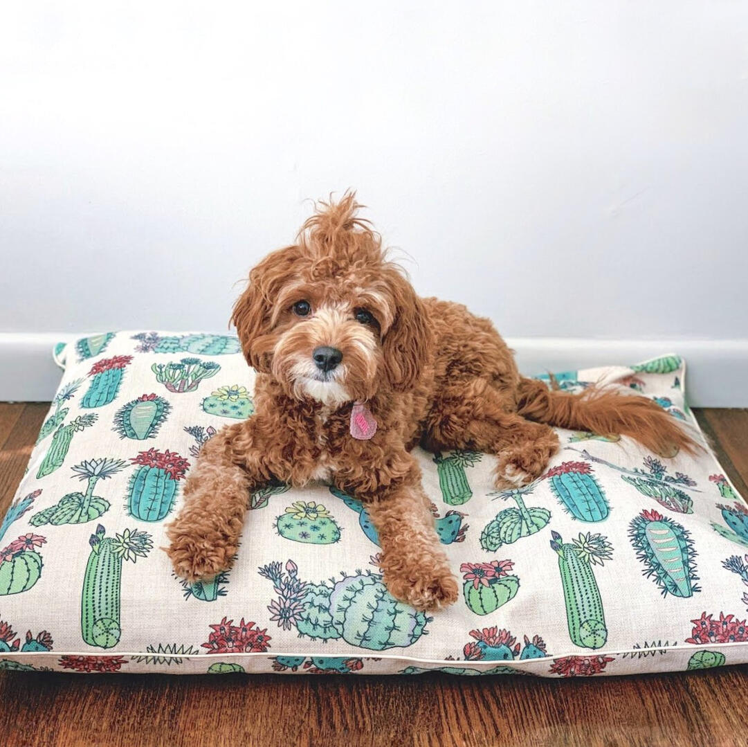 Indie Boho - Desert Cacti Dog Bed