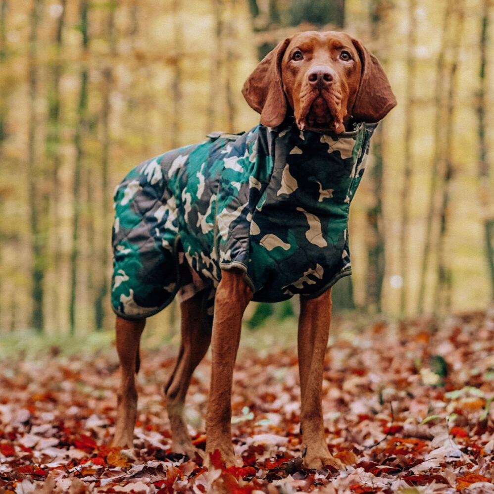 Siccaro Spirit Drying Coat for Dogs