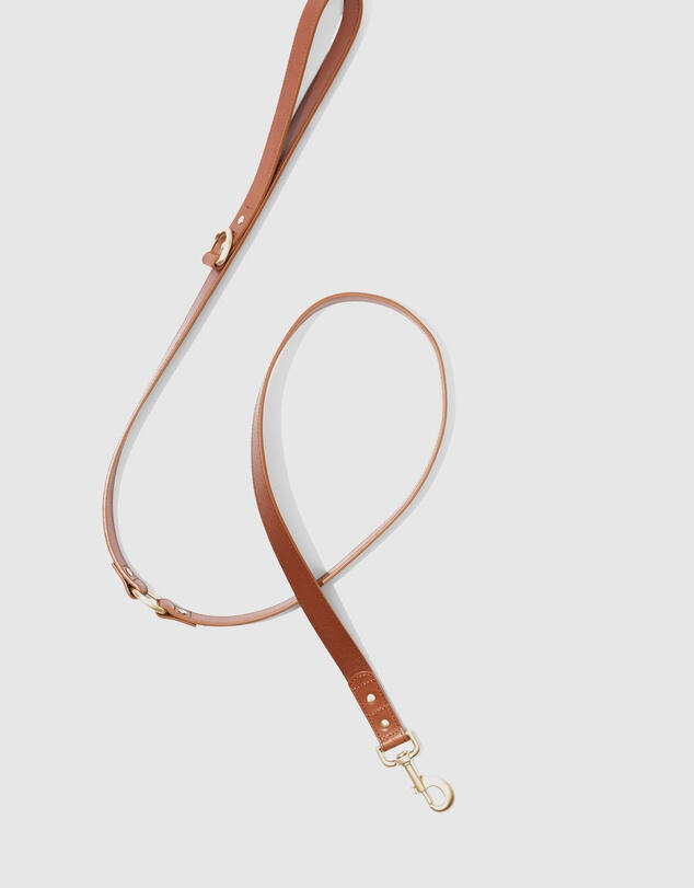 Country Road Enzo Leather Dog Lead