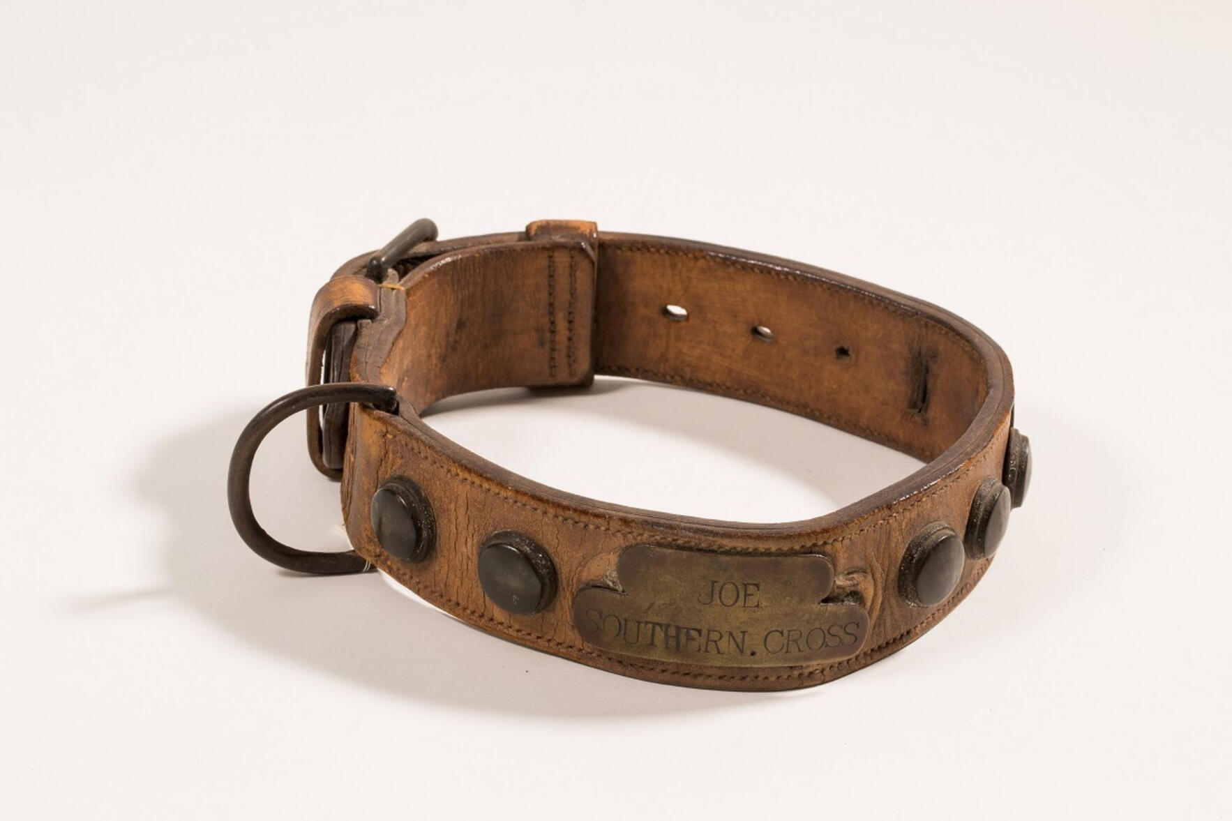 Joe's Dog Collar