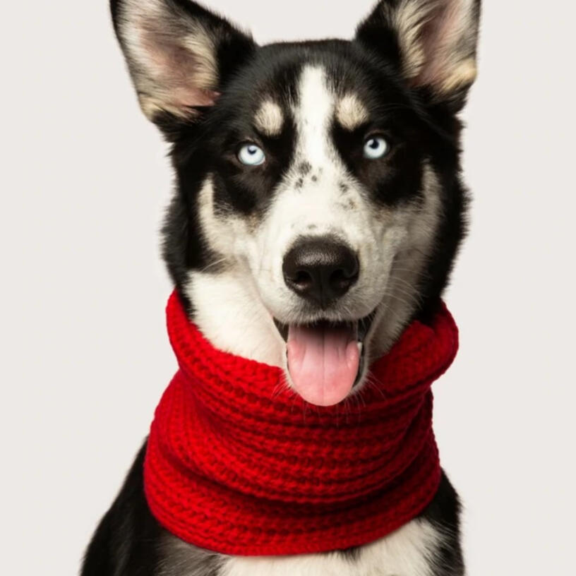 Fabdog - Red Infinity Scarf