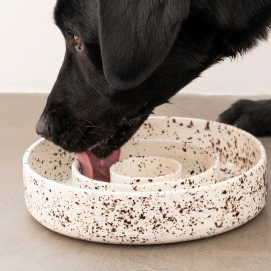 Pups & Itchy - Slow Feeder