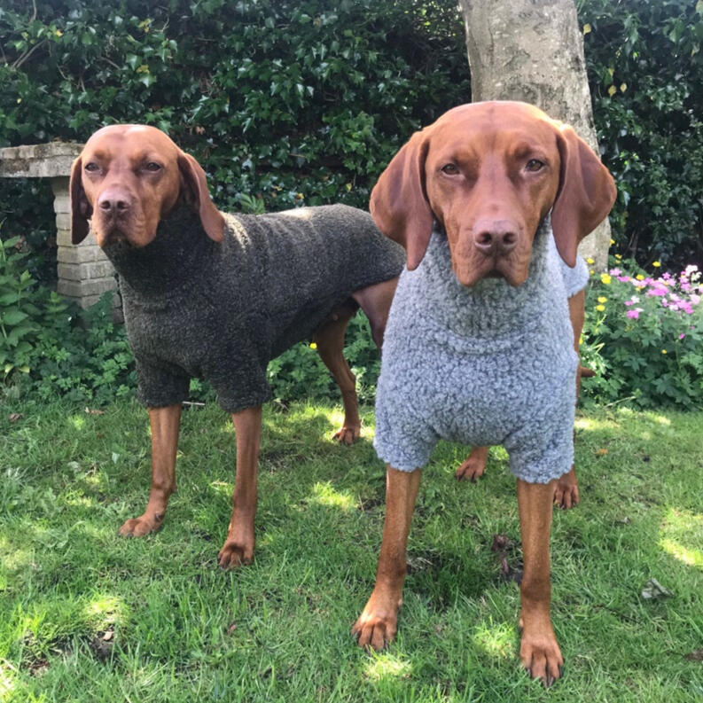 Tailored Hound - Sherpa Fleece Dog Coat