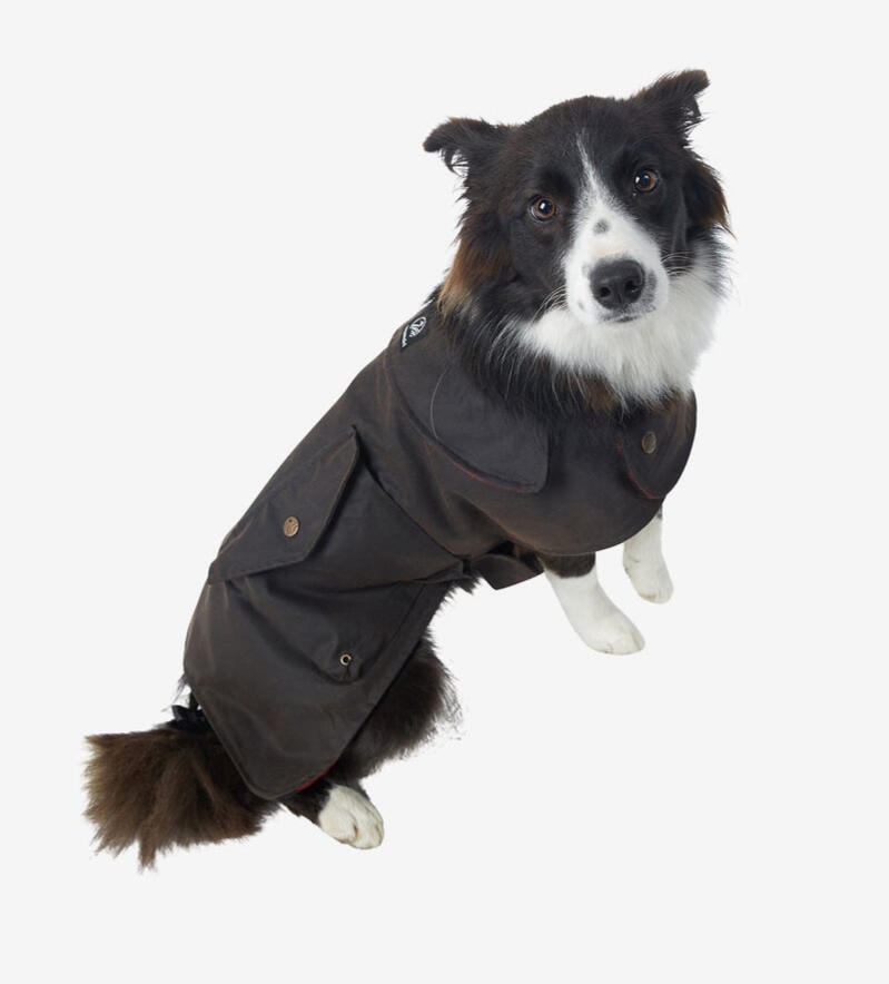 Swanndri - Hunter Oilskin Dog Coat