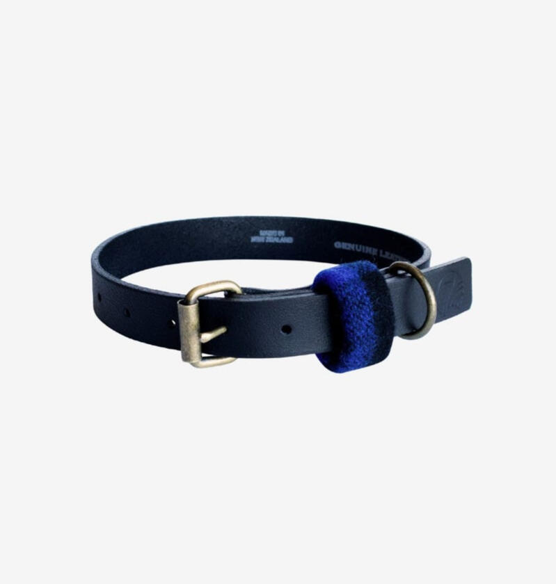 Swanndri - Elwood Leather Dog Collar
