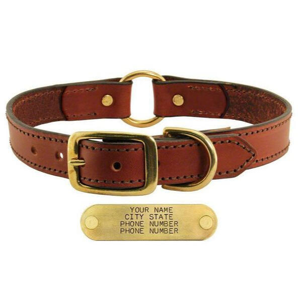 Gun Dog Supply - Leather Dog Collar with Name Plate