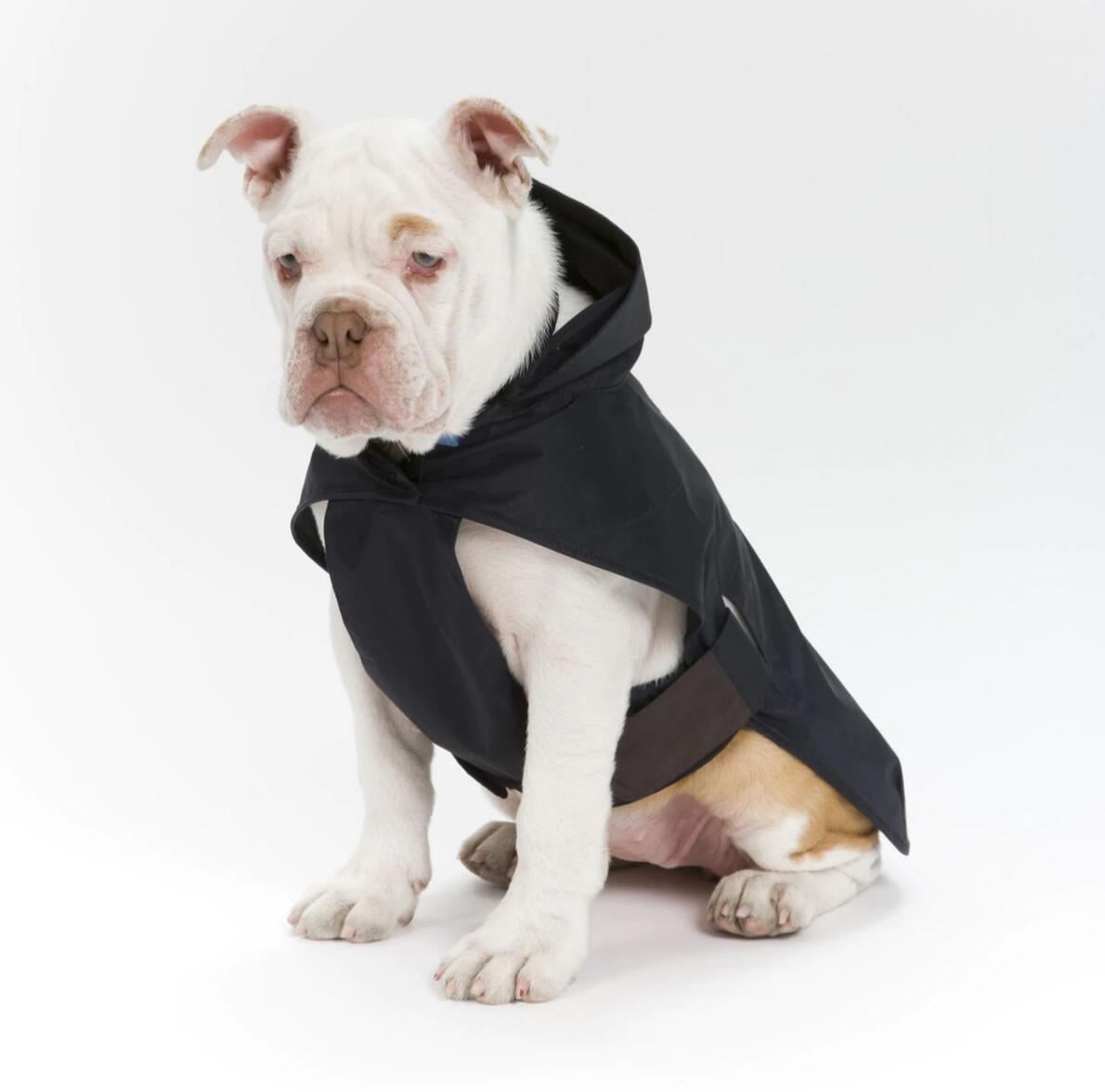 Mungo and Maud - Storm Dog Coat