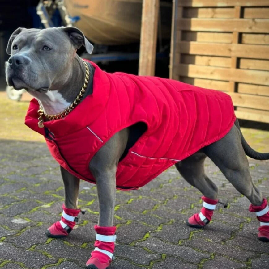 Spark Paws - WarmShield Water-Resistant Jacket