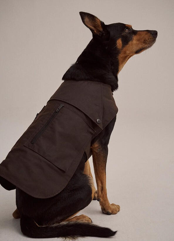 Drizabone - Horrie Oilskin Dog Coat