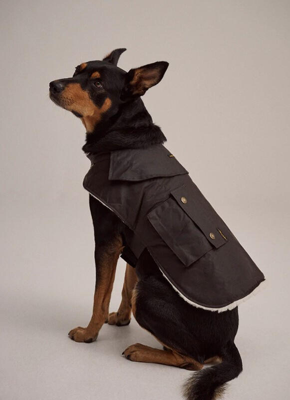 Drizabone - Ashfield Sherpa Dog Coat