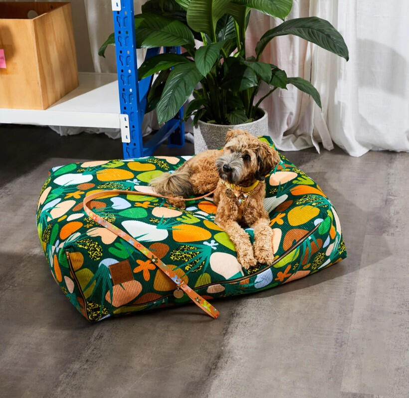 Nice Digs - Boulder Canyon Slouch Bed