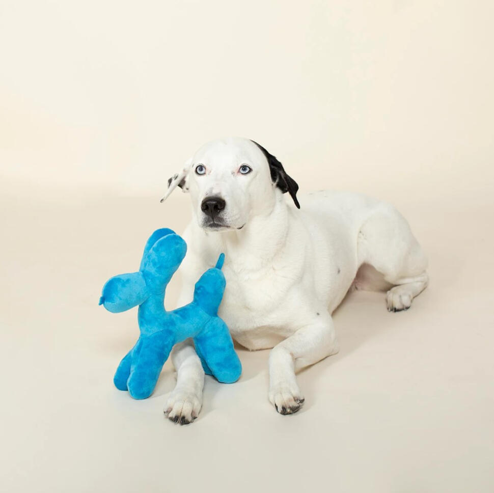 Fringe Studio - Petshop Balloon Animal Dog