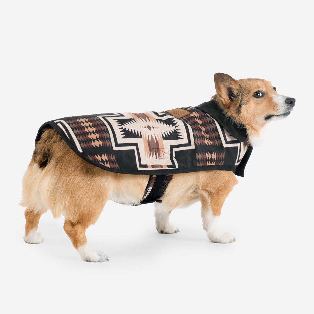 Pendleton - Harding Dog Coat