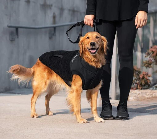Canada Pooch - Cool Factor Puffer Jacket