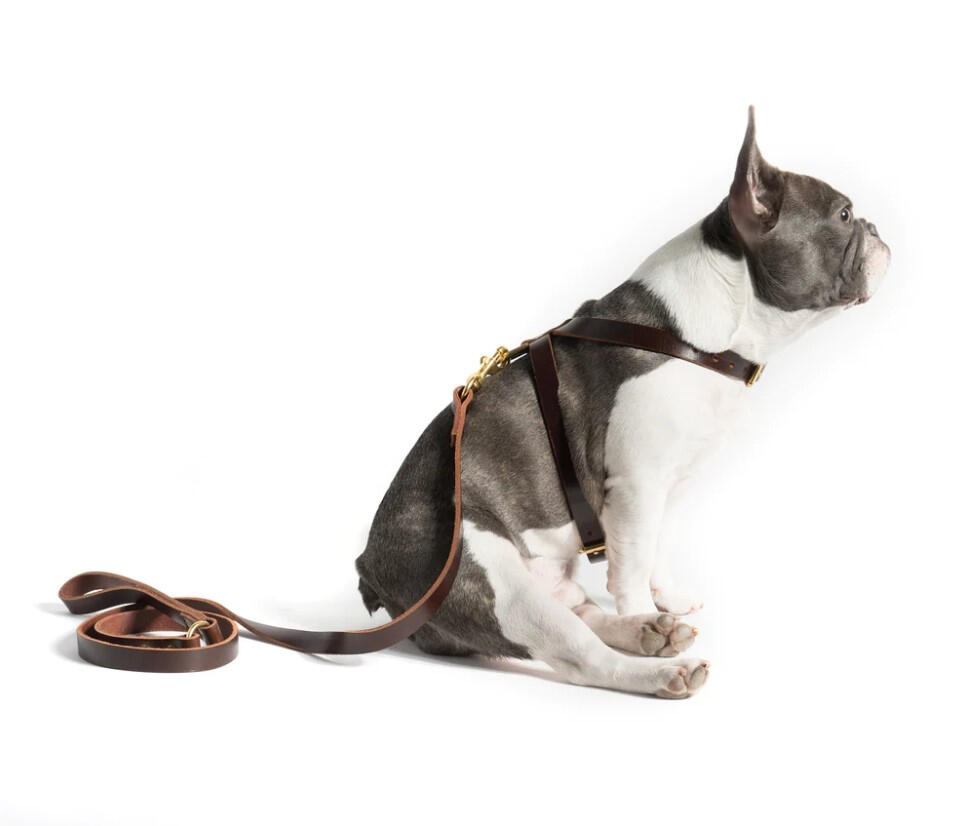 Mr. Dog New York - Dog K-Harness & Leash