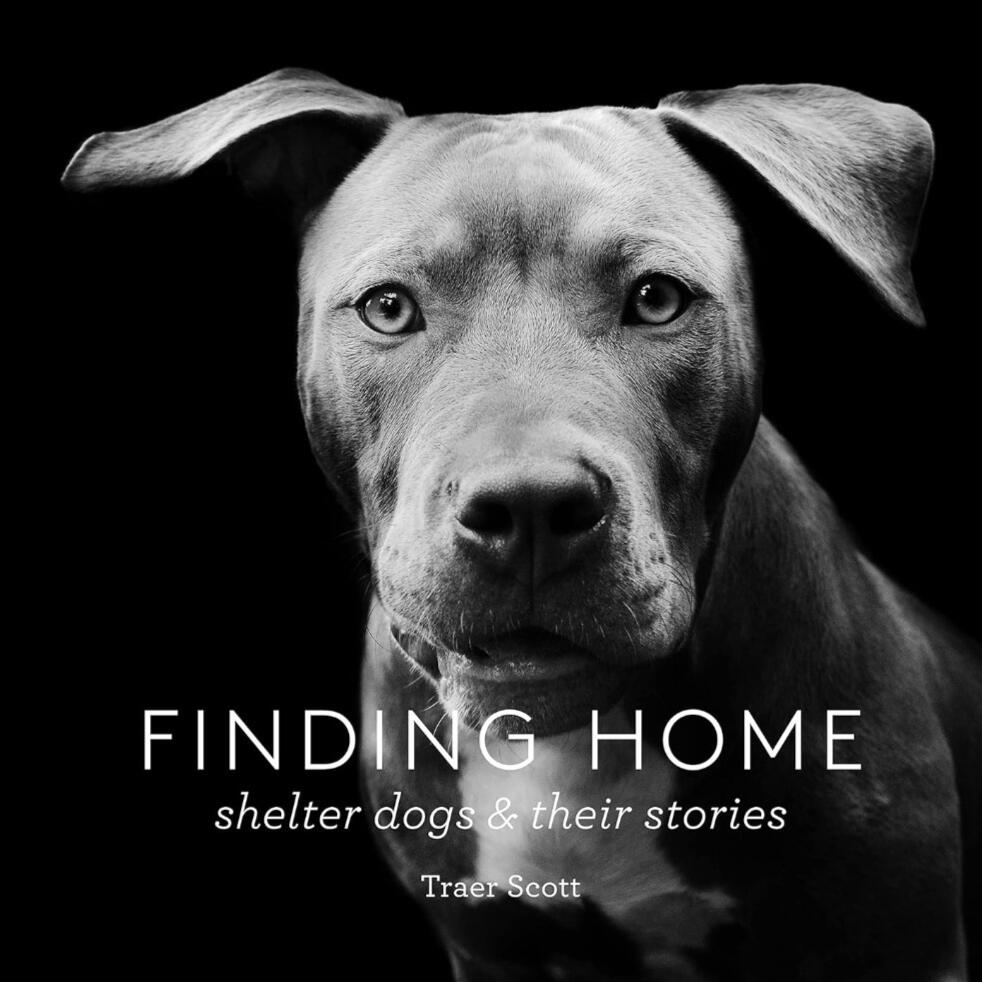 Finding a Home: Shelter Dogs and Their Stories - Traer Scott
