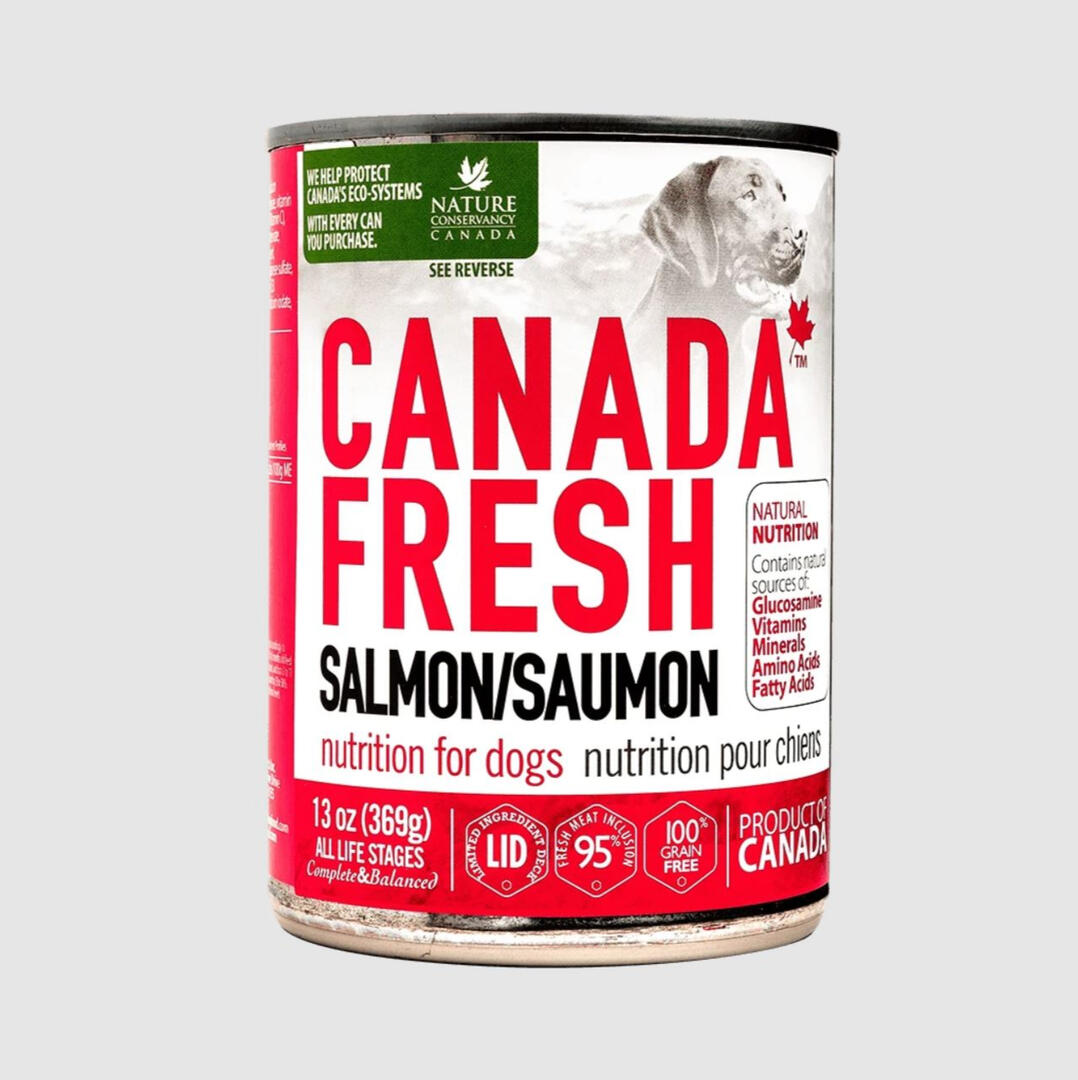Canada Fresh Salmon