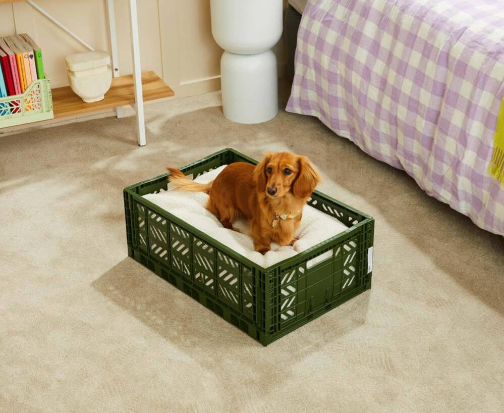 Nice Digs Dog Crate Bed