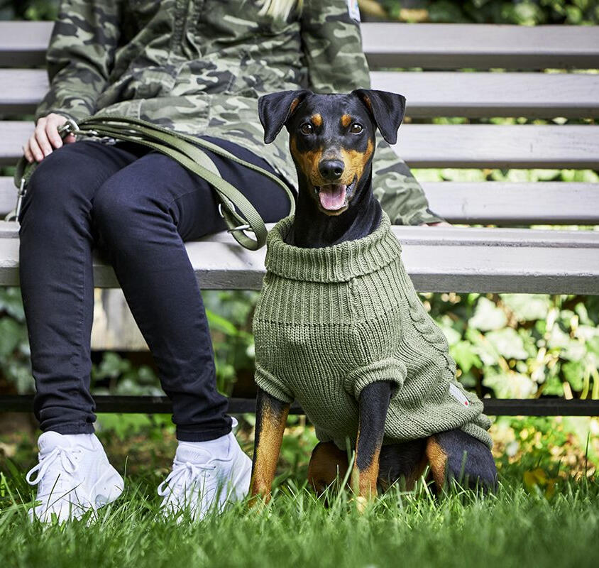 Wolters Knitted Sweater