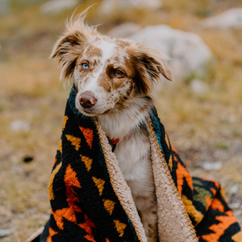 WilderDog Sherpa Fleece Dog Blanket