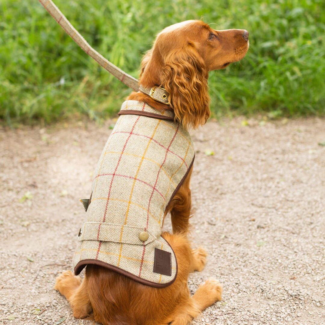 TweedMill Tweed Dog Coat