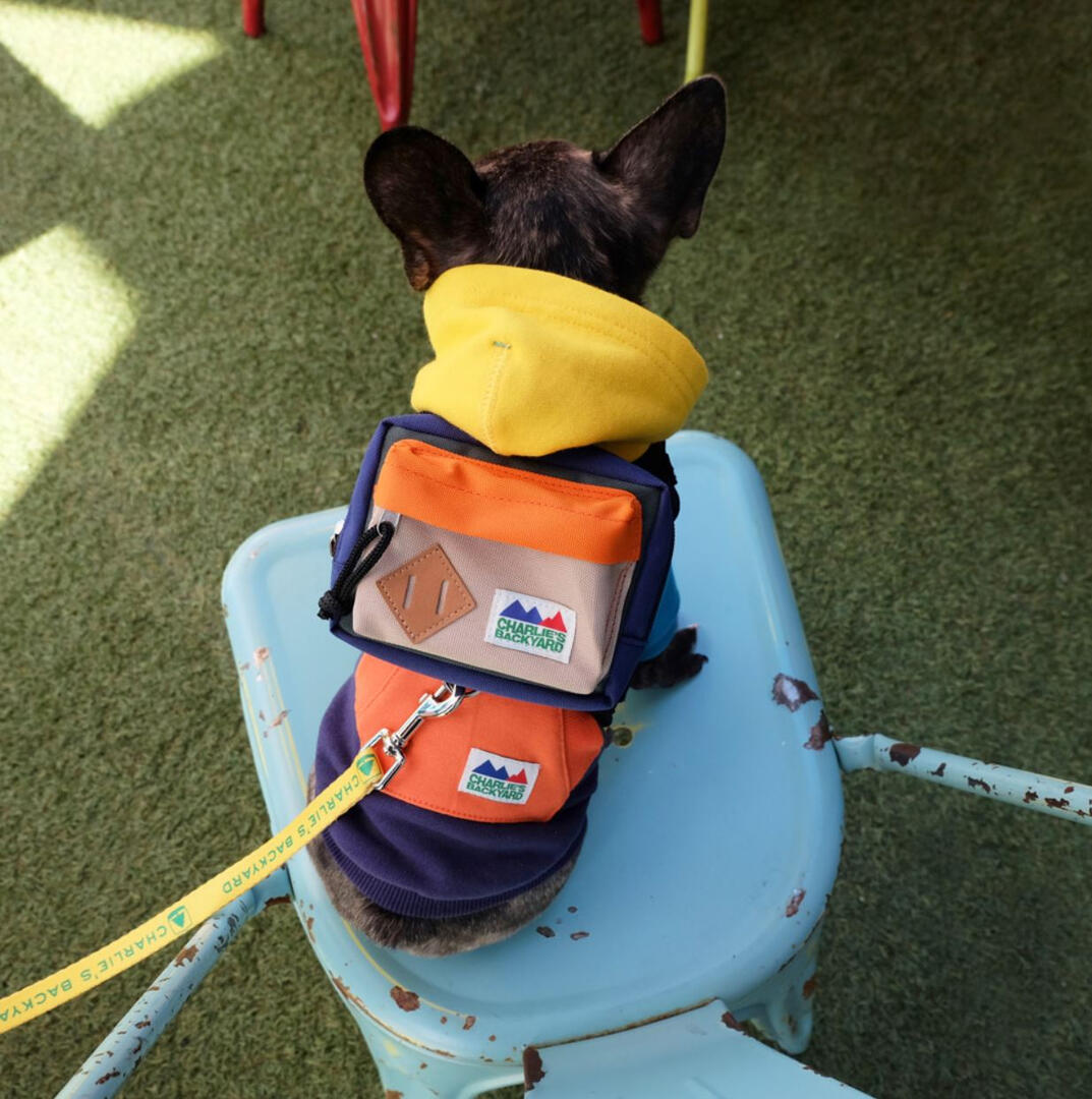 Charlie&#39;s Backyard Dog Backpack