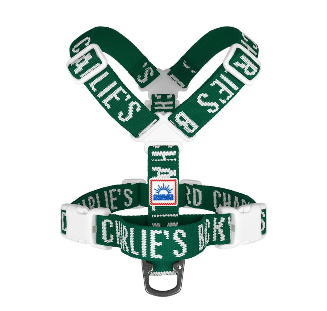 Charlie's Backyard Dog Harness