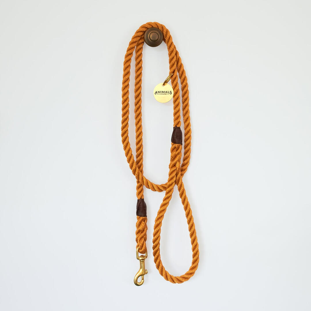 Animals in Charge Harvest Yellow Brass and Rope Dog Leash