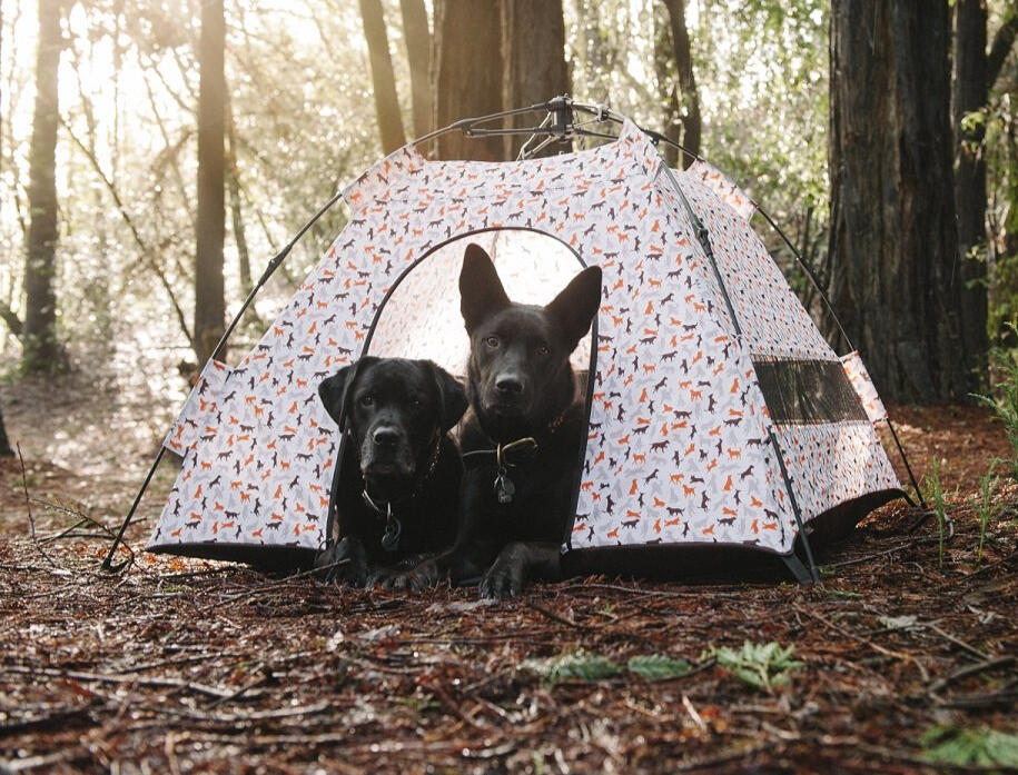 P.L.A.Y.'s Out and About Outdoor Dog Tent