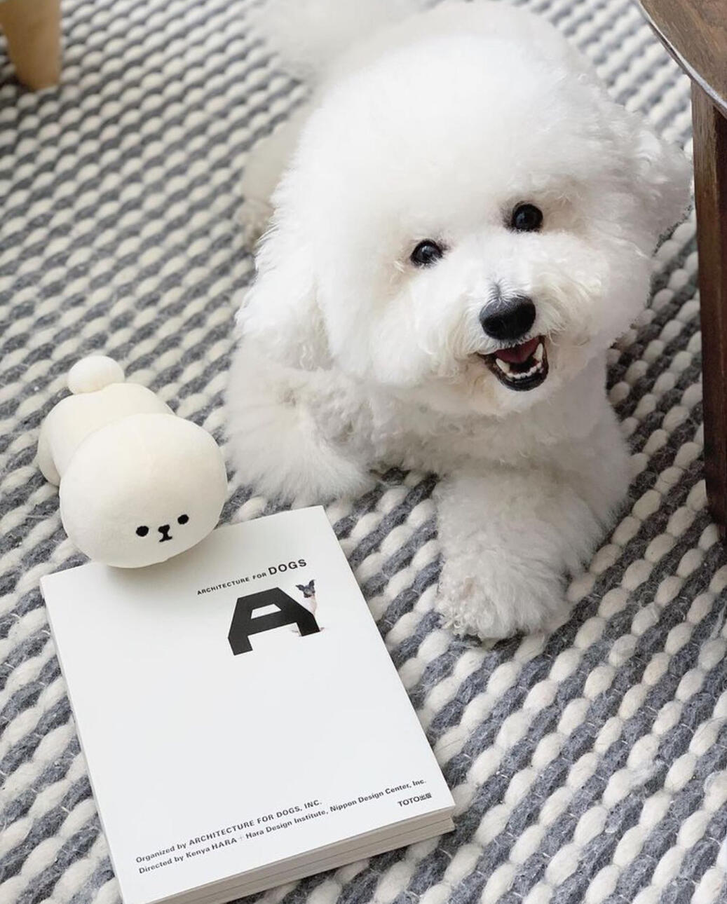 Architecture for Dogs