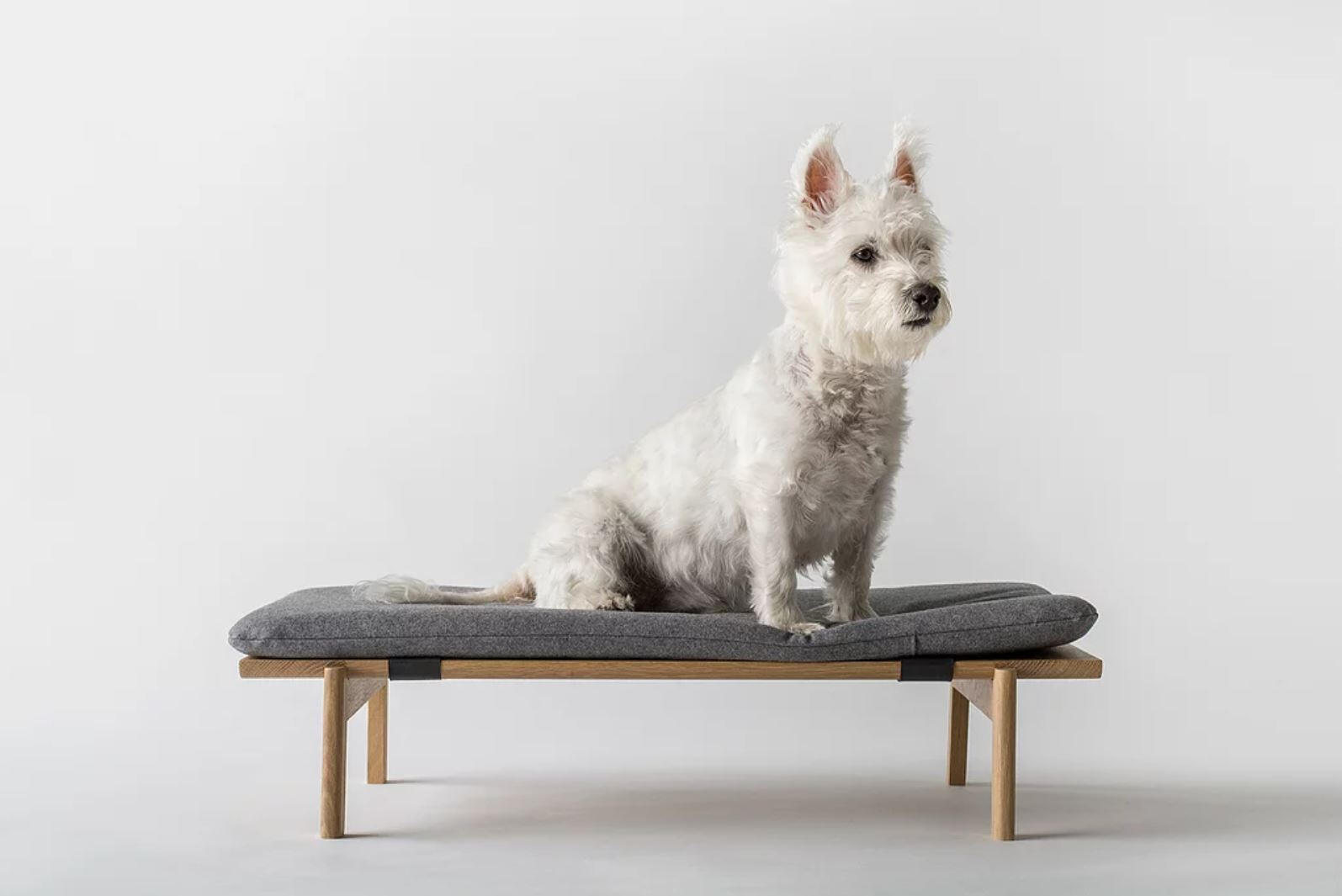 Komo Lab Walden Dog Bed