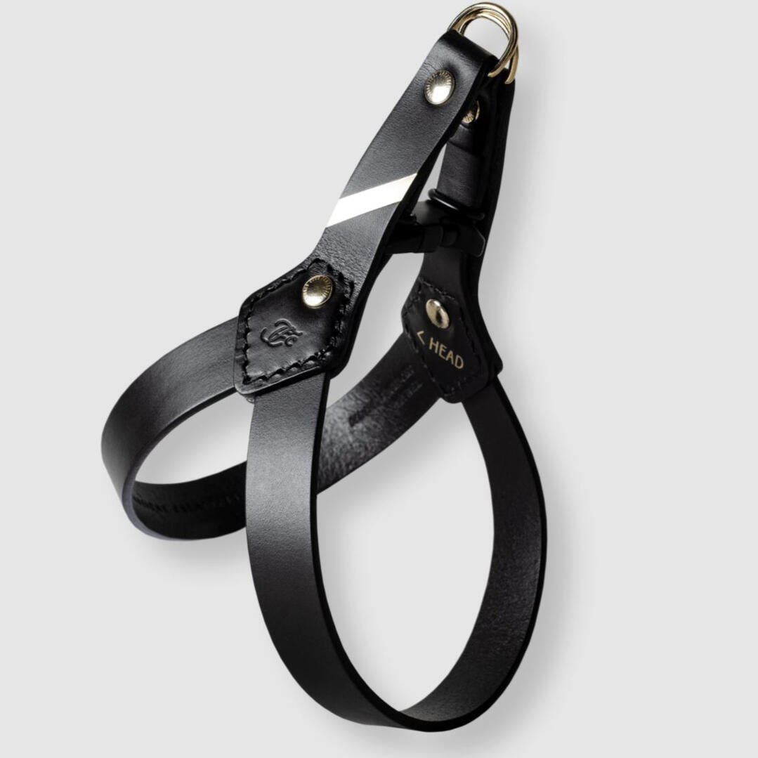 Fantastical Creatures Club Leather Dog Harness