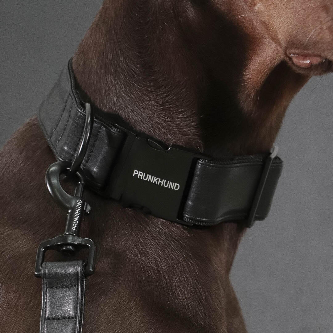 Prunkhund - Dark Collar