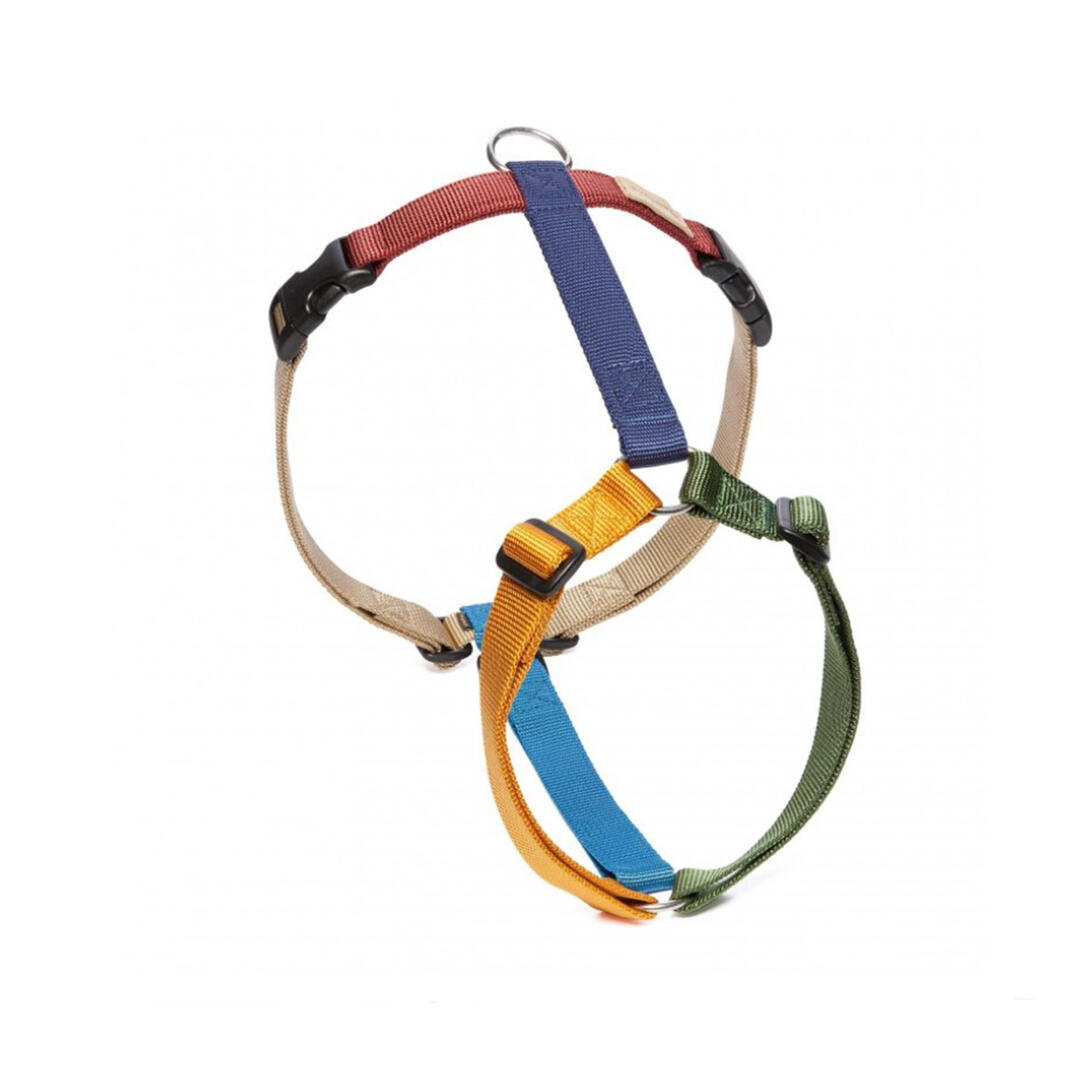 Haqihana Multicolor Harness