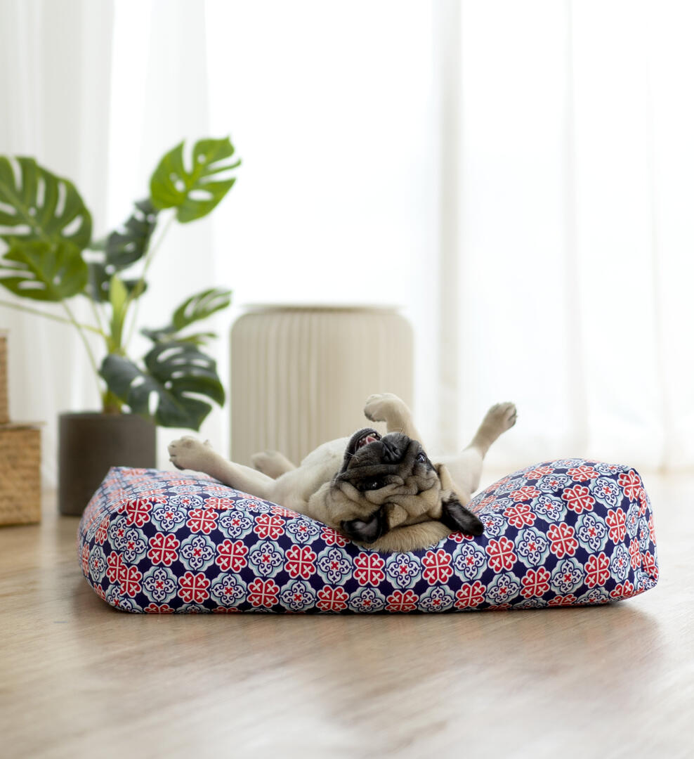 Oh Pop Dog Royal Blue Microbeads Bed
